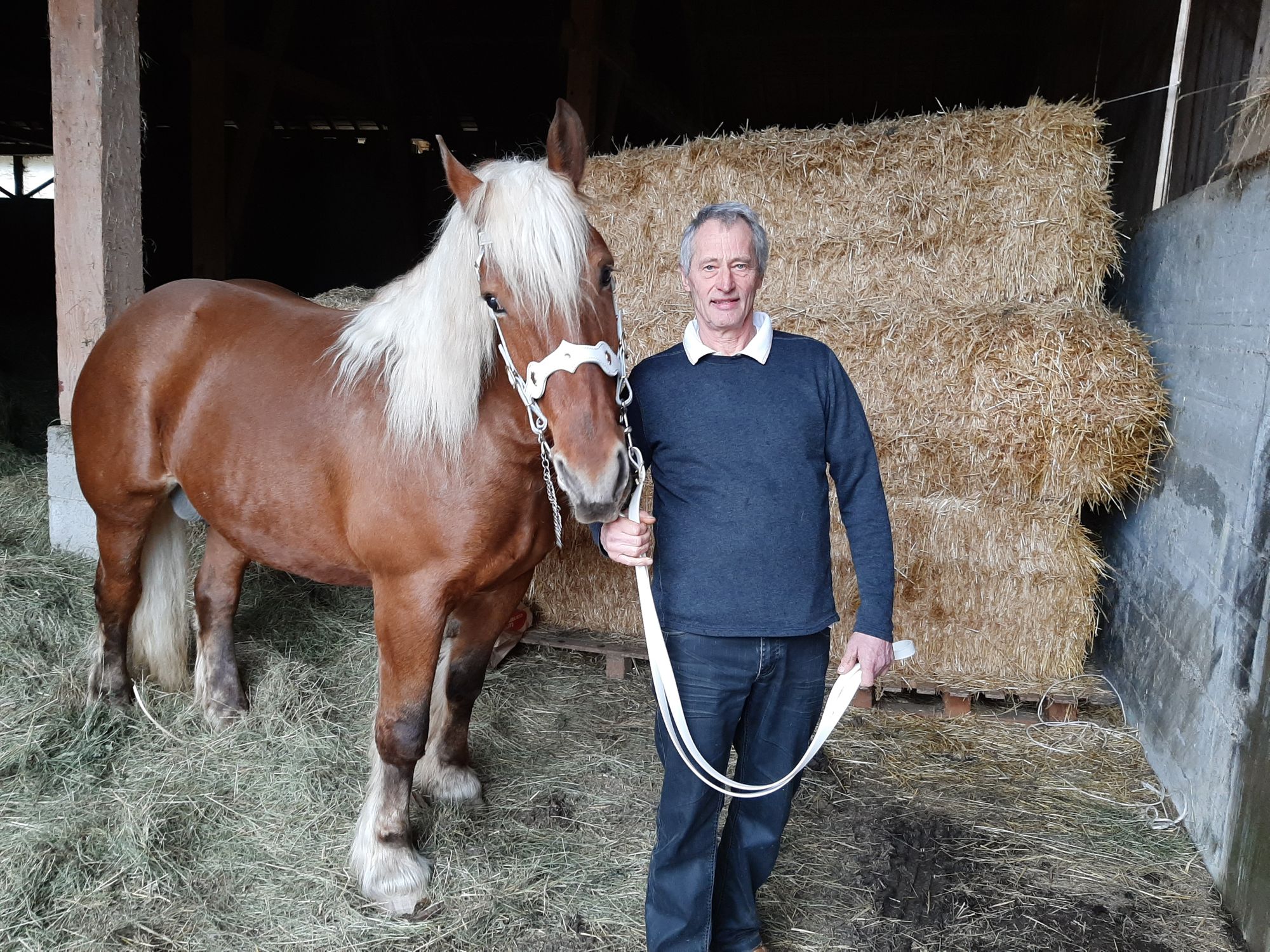 Cernay-l’Église. Hervé Cagnon a le comtois dans la peau